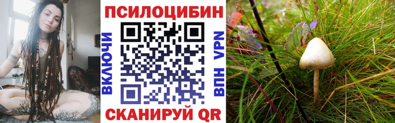 Купить  Ужур  Галлюциногенные грибы Psilocybine cubensis 